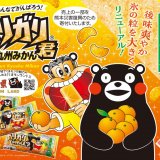 7年目を迎えるガリガリ君とくまモンのコラボ商品『ガリガリ君九州みかん』が3月14日(火)より発売！