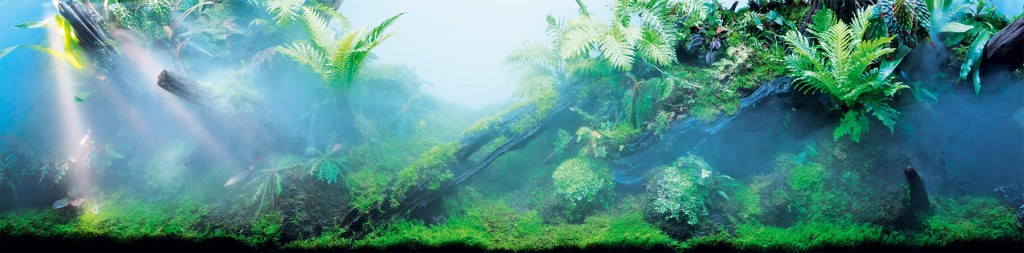 AOAO SAPPOROの『ネイチャーアクアリウム』-熱帯性の植物が生い茂る景観