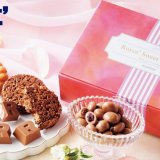 ロイズから春限定『ロイズスイートアンサンブル[12個入]』が3月15日(水)より発売！