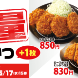 とんかつ専門店「松のや」にてお値段そのままヒレかつが増量する『ヒレヒレフェア』が5月10日(水) 15:00より開催！