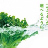 Hotto Motto(ほっともっと)にて“ごはん”を“サラダ”に変更できる期間限定サービスが6月6日(火)より実施！