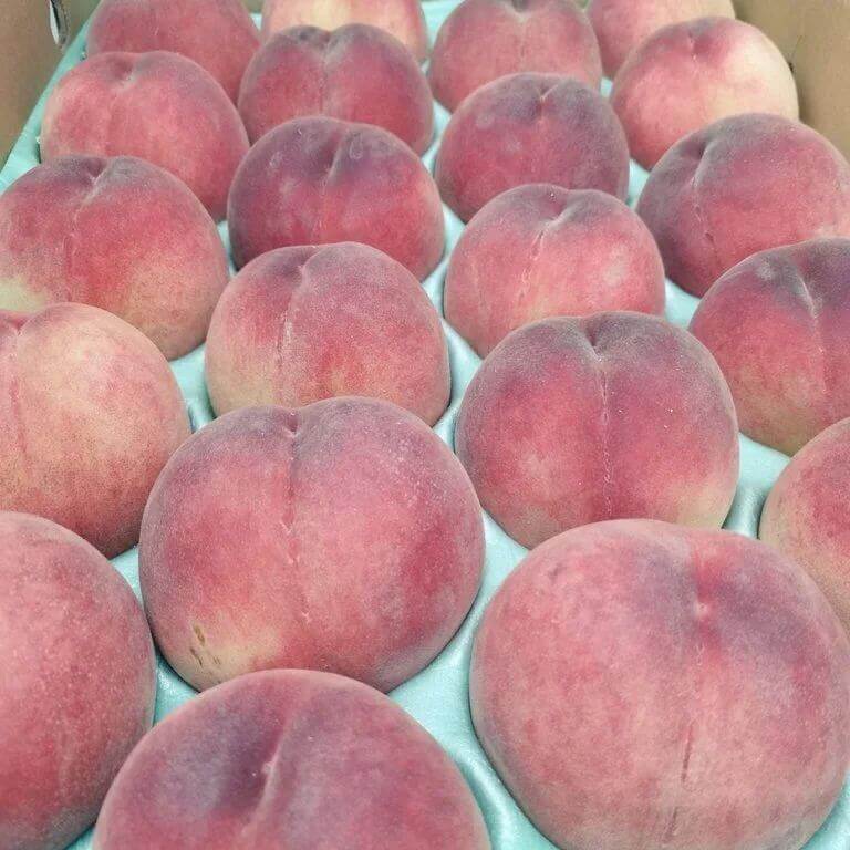 パティスリー ラ ネージュの『贅沢まるごとピーチ』