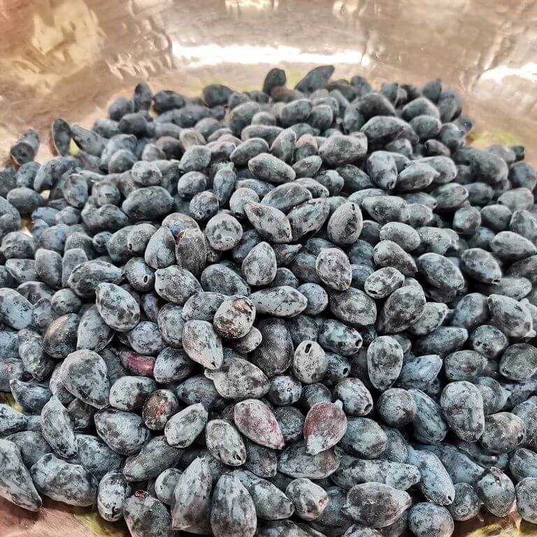 パティスリーラネージュ-ハスカップ