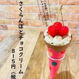大丸札幌にある「つつみや」にてさくらんぼを丸ごと8粒も使用『さくらんぼとチョコクリーム』が発売！