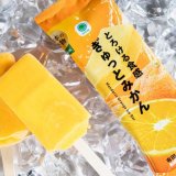 国産果汁を使ったファミマルのアイスバー『とろける食感 ぎゅっとみかん』が10月10日(火)よりファミリーマートで発売！