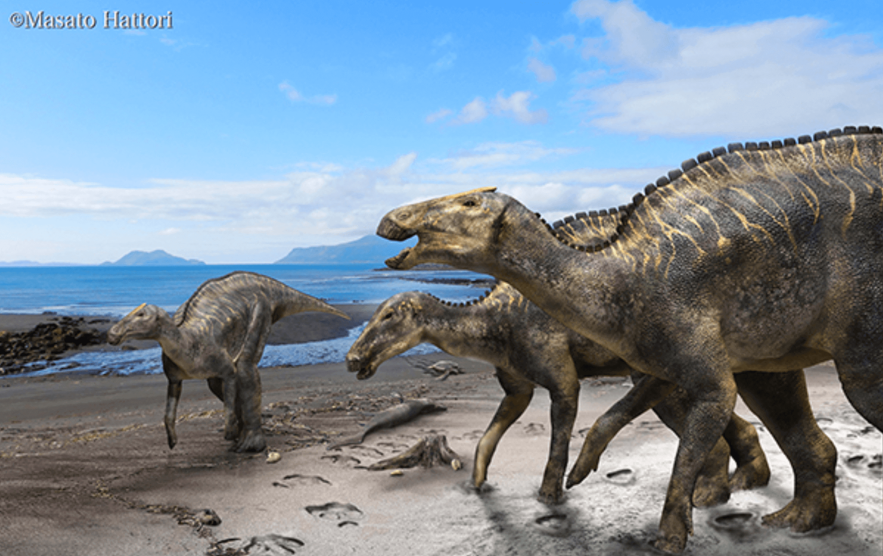 AOAO SAPPOROの『ザ・パーフェクト恐竜』-カムイサウルス生態復元図（提供：服部雅人氏）