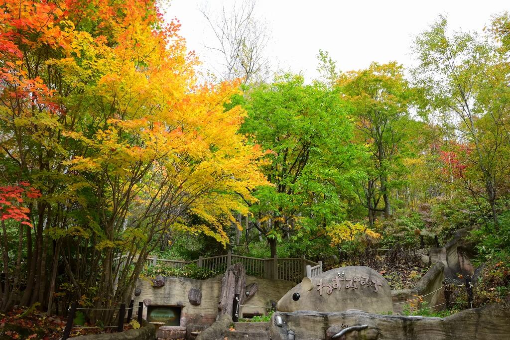 国営滝野すずらん丘陵公園-ねずみの道