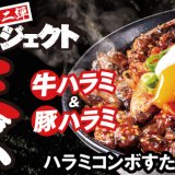 札幌駅前にもある「すた丼屋」にて牛ハラミ×豚ハラミの『ハラミコンボすたみな焼肉丼』が12月1日(金)より発売！