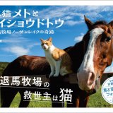 大人気の元競走馬と猫のフォトブック『ボス猫メトとメイショウドトウ』が発売初日に重版決定！