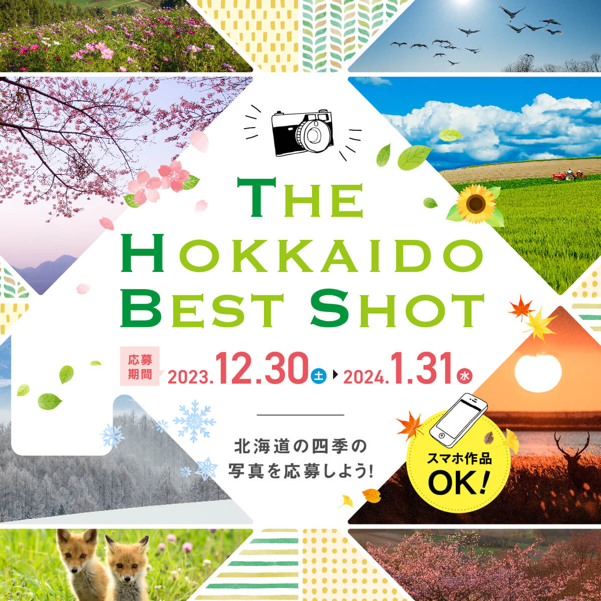 THE HOKKAIDO BEST SHOT