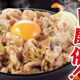 札幌駅前にもあるすた丼屋にて『肉の日キャンペーン』が2月29日(木)に開催！対象商品の肉が50%増量