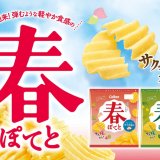 弾むような軽やかな食感を楽しめる『春ぽてと 甘うま塩味/ふんわりサワークリーム味』が2月26日(月)より発売！