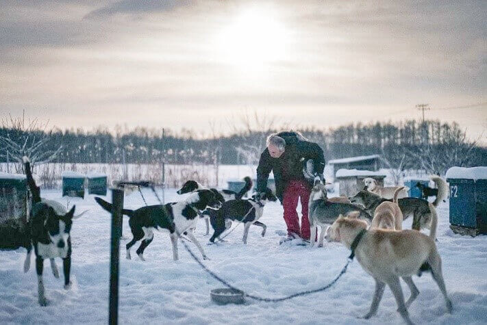 『ＴＯＫＡＣＨＩ　ＭＡＤＥ -Winter-』-犬ぞり体験/Mushing Works Sled Dog Tours（マッシングワークス）