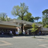 円山動物園にてゾウが食べ残した枝を薪として配布！