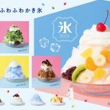 ココスにて夏の定番『純氷ふわふわかき氷フェア』が6月27日(木)より開催！