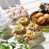 「あべ養鶏場 えっぐぷりん札幌駅直営店 / ココノススキノ店」にてお会計から10％OFFとなる『感謝祭』が6月10日(月)より開催！