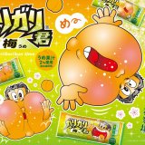 昔懐かし梅ジュースのような味わい『ガリガリ君梅』が5月28日(火)より発売！