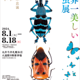北海道初開催！“虫を見る！聴く！体感する！”『世界一美しい昆虫展』が丸井今井札幌本店で8月1日(木)より開催！