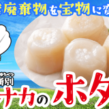 北海道オホーツク湧別町・マルナカ相互商事が応援購⼊サービス「Makuake」にて『ホタテの貝殻を再利用した商品』の販売を開始！