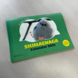 北海道で撮影された『シマエナガカレンダー2025』が8月26日(月)より限定500冊で発売！