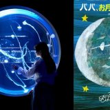 狸小路の都市型水族館「AOAO SAPPORO」にてクラゲ水槽が月光に照らされる『ゆらゆらクラゲ 〜中秋の名月〜』が9月1日(日)より開催！