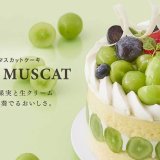 きのとやからシャインマスカットを贅沢に敷き詰めた『シャインマスカットケーキ』が9月1日(日)より発売！