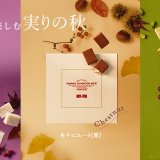 ロイズにて秋の限定生チョコレート[栗][やきいも][ピスタチオ][ジャンドゥーヤ]が9月4日(水)より発売！