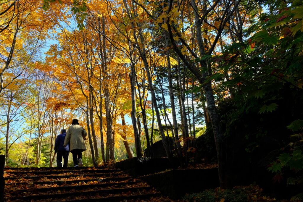 国営滝野すずらん丘陵公園-紅葉