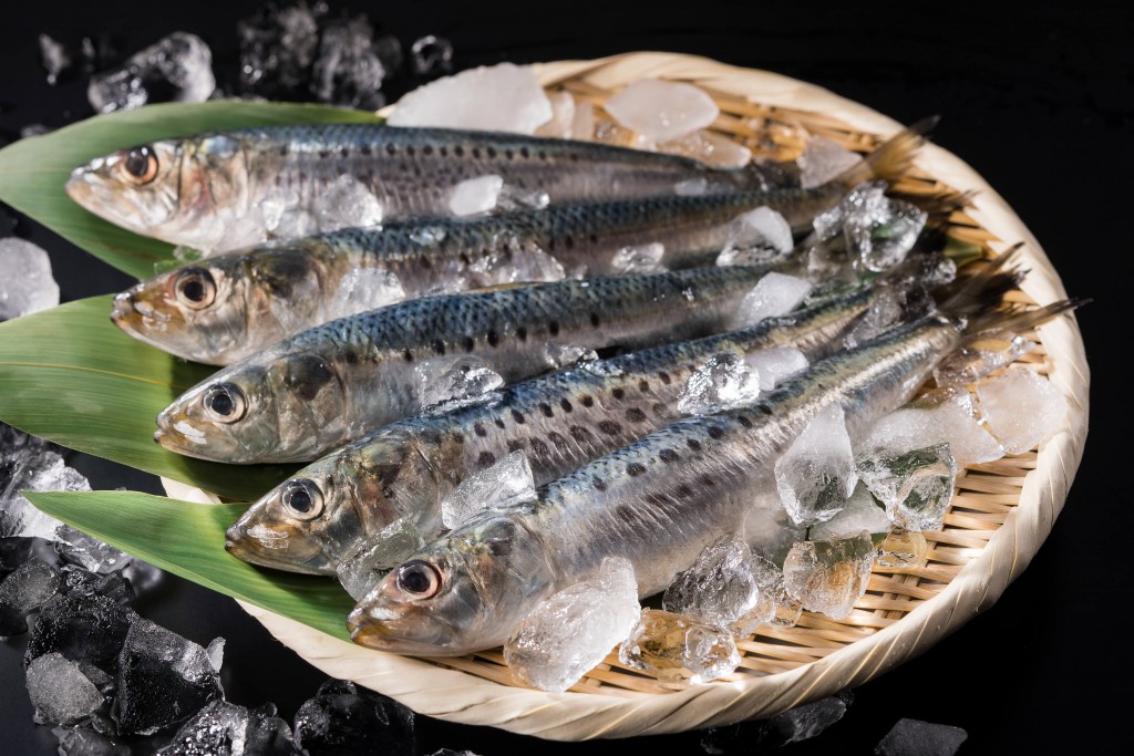 北海道生まれ和食処とんでんの『いわし祭』