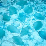 北海道の冬の魅力を詰め込んだ『流氷グミ』が9月24日(火)より発売！