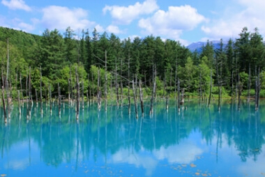 さとふるの『あつまれ北海道応援特集』-道北エリア