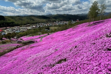 さとふるの『あつまれ北海道応援特集』-道東エリア