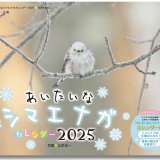 『あいたいなシマエナガカレンダー2025』が10月4日(金)に発売！