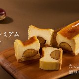きのとやから『マロンのプレミアムチーズケーキ』『マロンパイ』が発売！