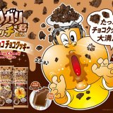 たっぷりクッキーで大満足は『ガリガリ君リッチチョコチョコチョコクッキー』が10月15日(火)より発売！