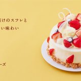 「きのとや」からなめらかな口溶けのスフレとチーズのやさしい味わい『ベリーのスフレチーズ』が11月限定で登場！