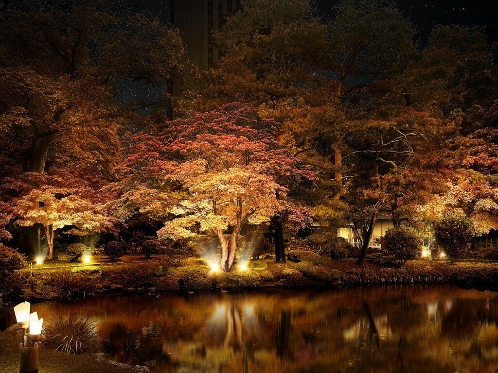 SAPPORO AUTUMN ILLUMINATIONS 中島公園紅葉ライトアップ