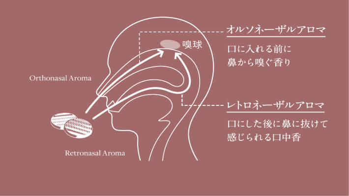 UCC上島珈琲株式会社の『YOINED(ヨインド)』-香りの科学