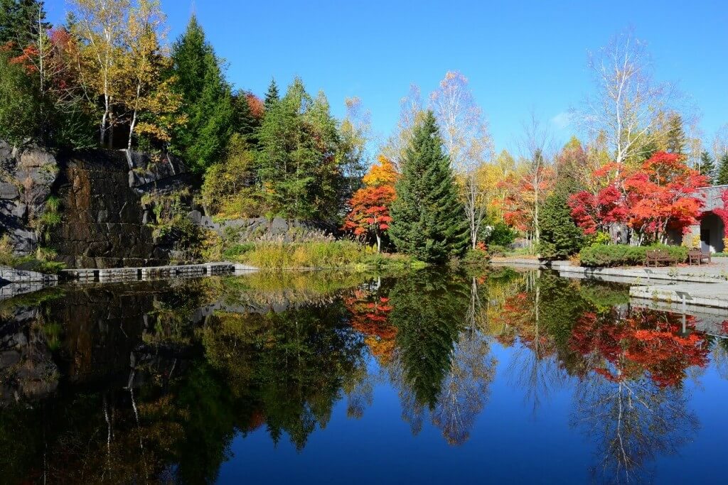 国営滝野すずらん丘陵公園『水鏡に映る紅葉を見よう』