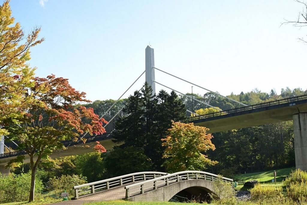 国営滝野すずらん丘陵公園『グラデーションコキア』-紅葉まつり