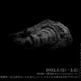 『SCARTS×CoSTEPアート＆サイエンスプロジェクト 荒木悠　双殻綱：幕間 BIVALVIA:INTERMISSION』が2月15日(土)より札幌市民交流プラザで開催！