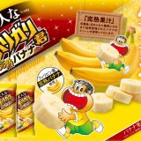 バナナみたいなもっちりした食感を再現した『大人なガリガリ君 完熟バナナ』が1月14日(火)より発売！