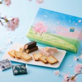 「白い恋人」と北海道エアポートの想いをのせた“北海道7空港限定アソートの春限定パッケージ”が2月20日(木)より発売！