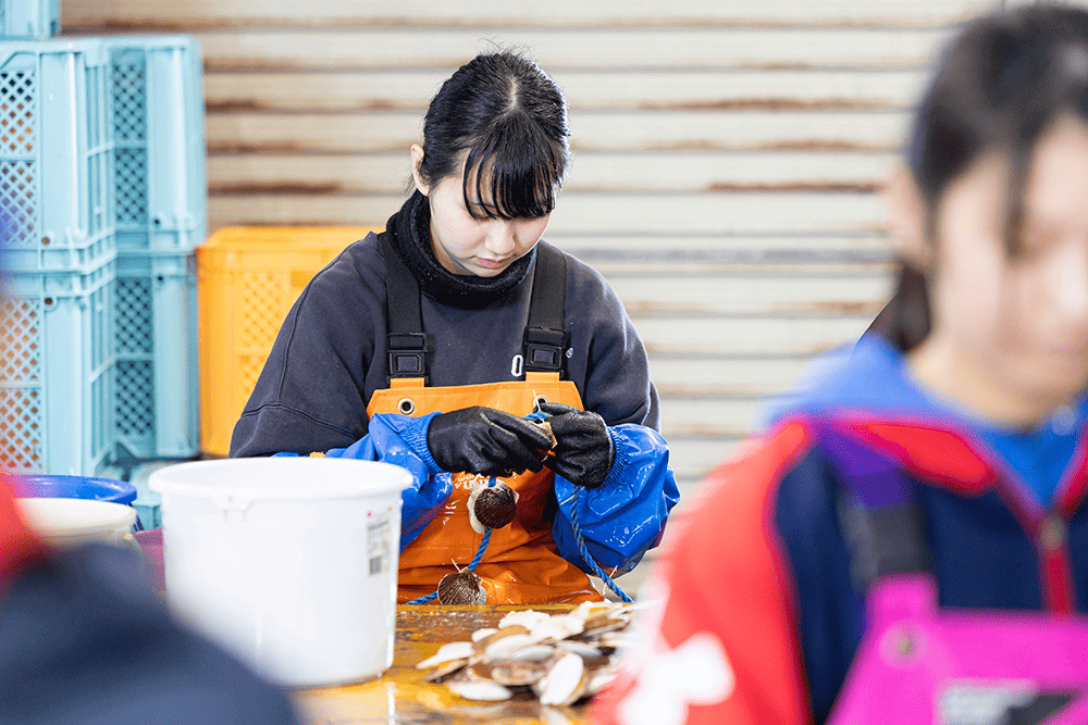 長万部産のホタテ貝「湾宝(わんぽう)」