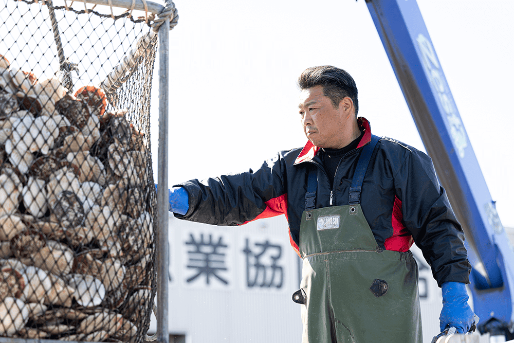 長万部産のホタテ貝「湾宝(わんぽう)」