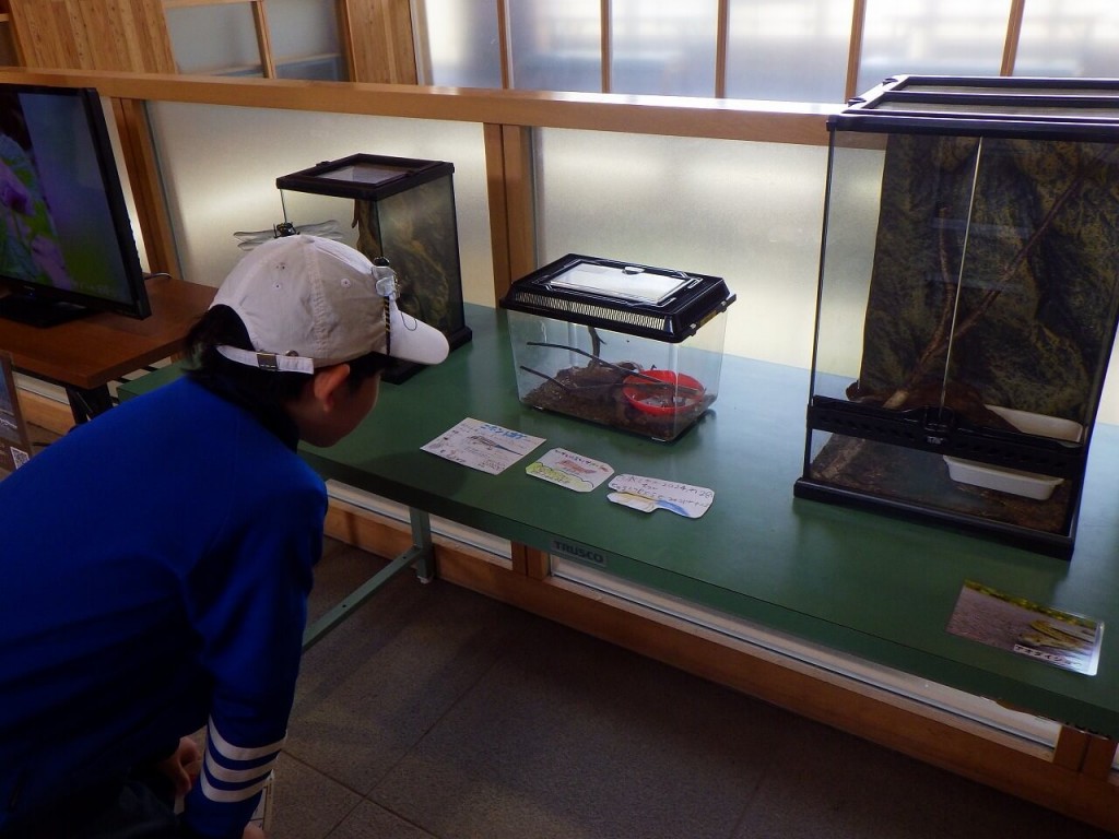 国営滝野すずらん丘陵公園-【GW特別企画】滝野の森の生きもの展