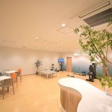 チャレンジドジム北6条