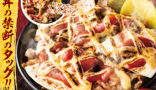 札幌駅前にもあるすた丼屋にて“すた丼×ピザ”の常識を超えた一杯『ピザすた丼』が5月8日(木)より発売！
