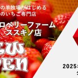 【ペコラストロベリーファーム ココノ ススキノ店】北海道士別市の羊牧場が展開する“いちご専門店”がすすきのにオープン！