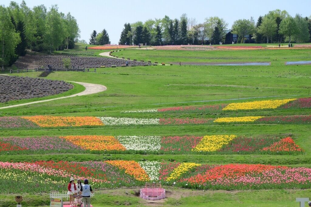 国営滝野すずらん丘陵公園の『虹の丘(カントリーガーデン下段)』